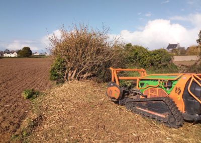 Robot télécommande pour débroussaillage de talus